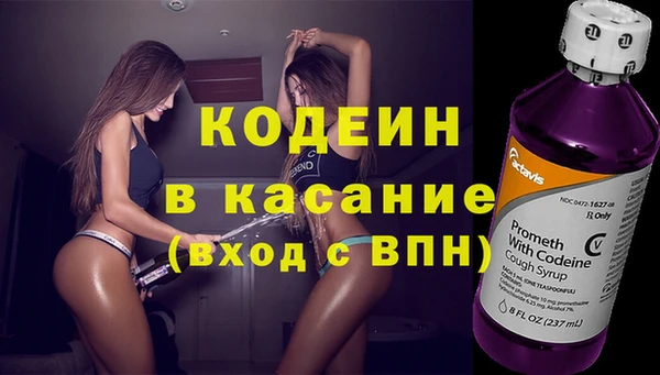 молекула духа Арсеньев
