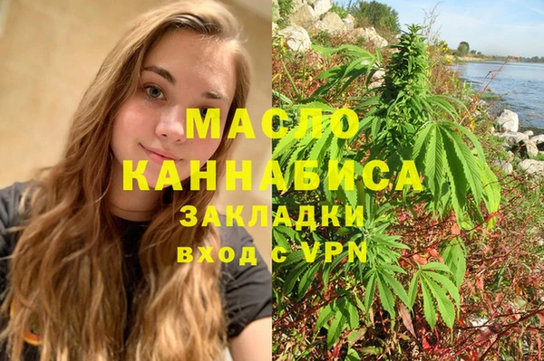 молекула духа Арсеньев