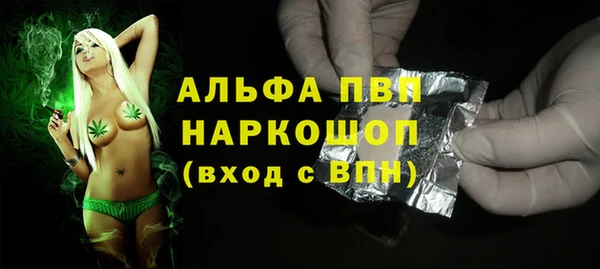 молекула духа Арсеньев