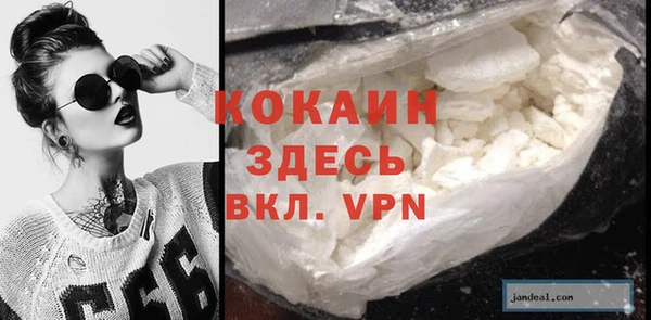 прущие грибы Баксан