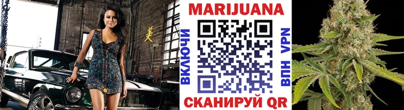 Каннабис конопля Карачаевск